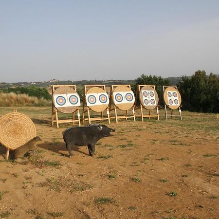Agriturismo San Martino Понсако Екстериор снимка